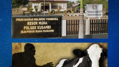 Kasus Dugaan Pencurian Sapi Di Tangkumaho Mubar, Pelapor Soroti Kinerja Polsek Kusambi