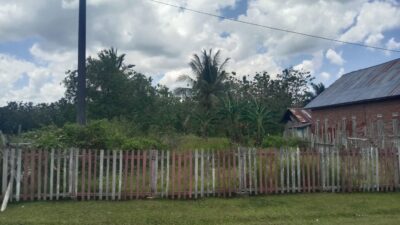 Kontroversi Penguasaan Lahan Aset Desa Tangkumaho Memanas