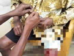 Geger! Warga Muna Barat Digigit Buaya Saat Mandi, Diseret 10 Meter